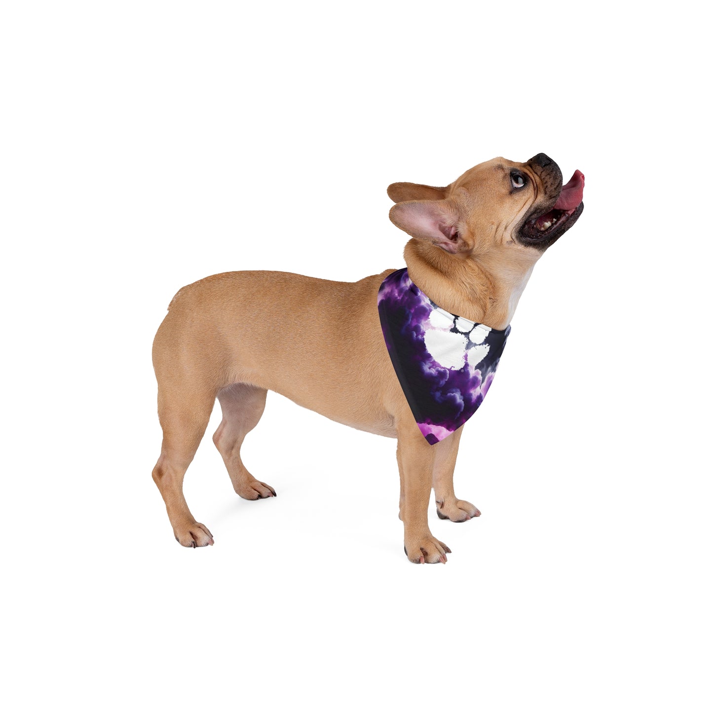 Clemson Pet Bandana