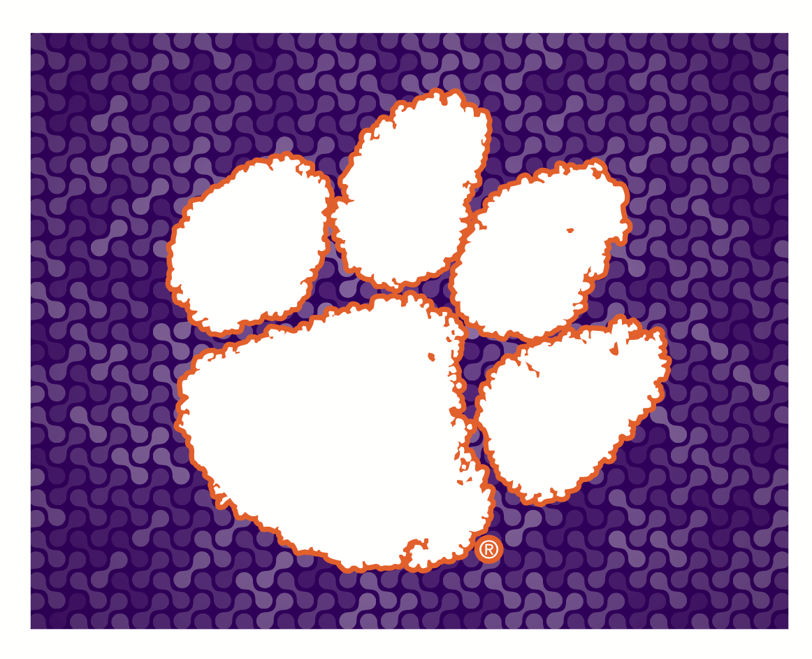 Clemson Car Flag