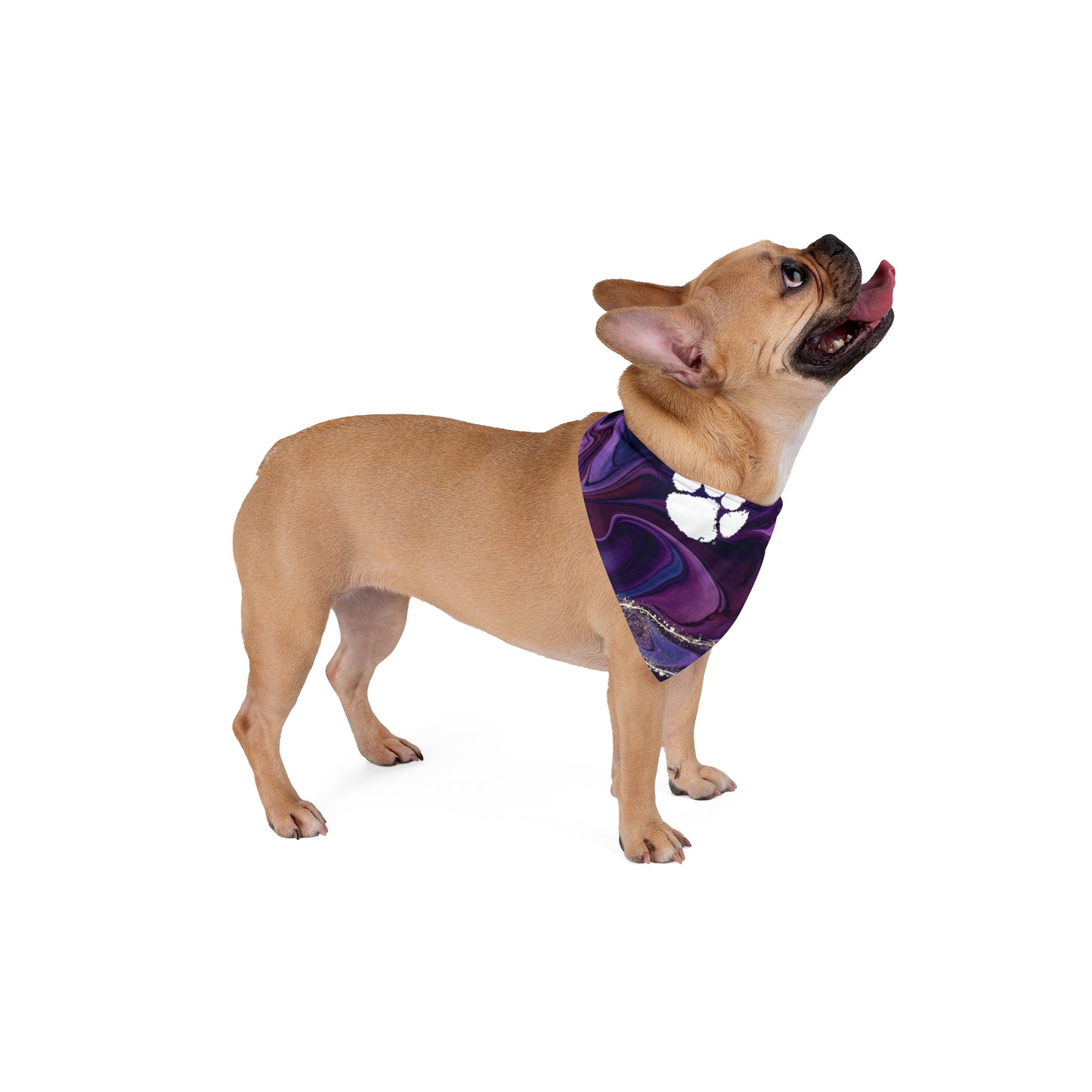 Clemson Pet Bandana