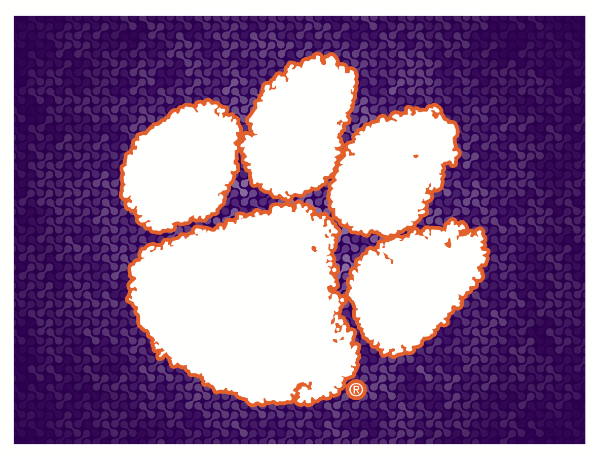 Clemson Blanket